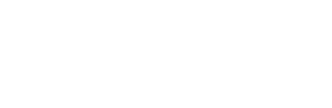logo skytech