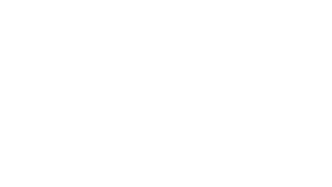 logo swarovski